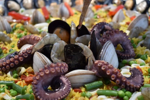 Concurso de Paellas 2022 en Valle de Guadalupe