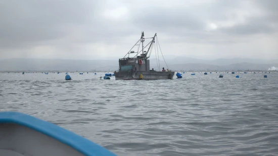 La Ruta del Mar me enseñó cómo se sostiene la gastronomía marina de Baja California
