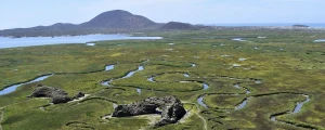 San Quintín: 5 razones para viajar al origen de la gastronomía de Baja California