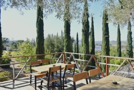 Malva, un clásico en Valle de Guadalupe que entrega vista, trazabilidad y técnica.