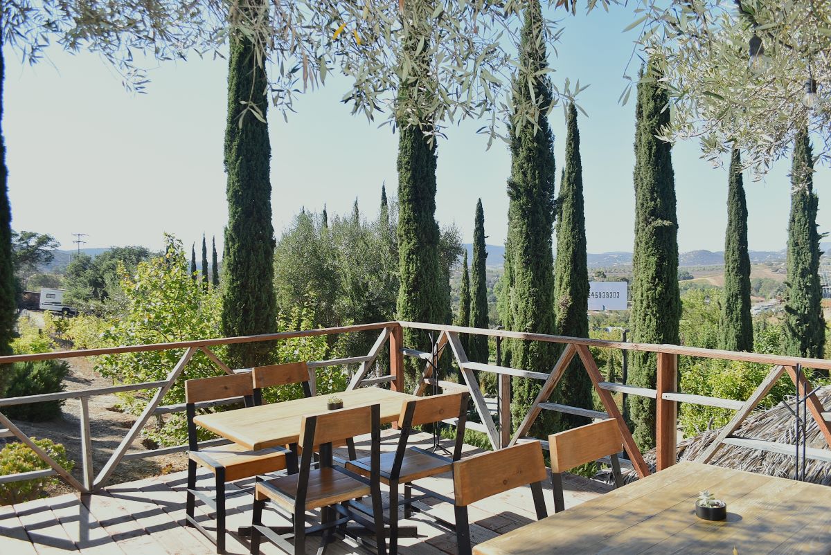 Malva, un clásico en Valle de Guadalupe que entrega vista, trazabilidad y técnica.