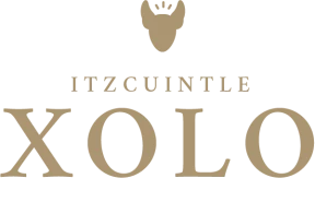 logotipo de Vinos Xolo